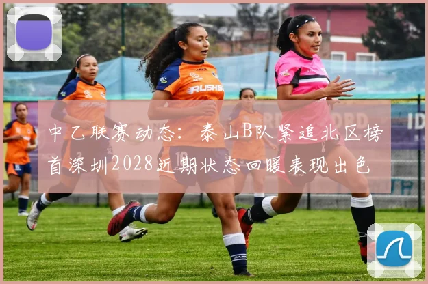 中乙联赛动态：泰山B队紧追北区榜首深圳2028近期状态回暖表现出色